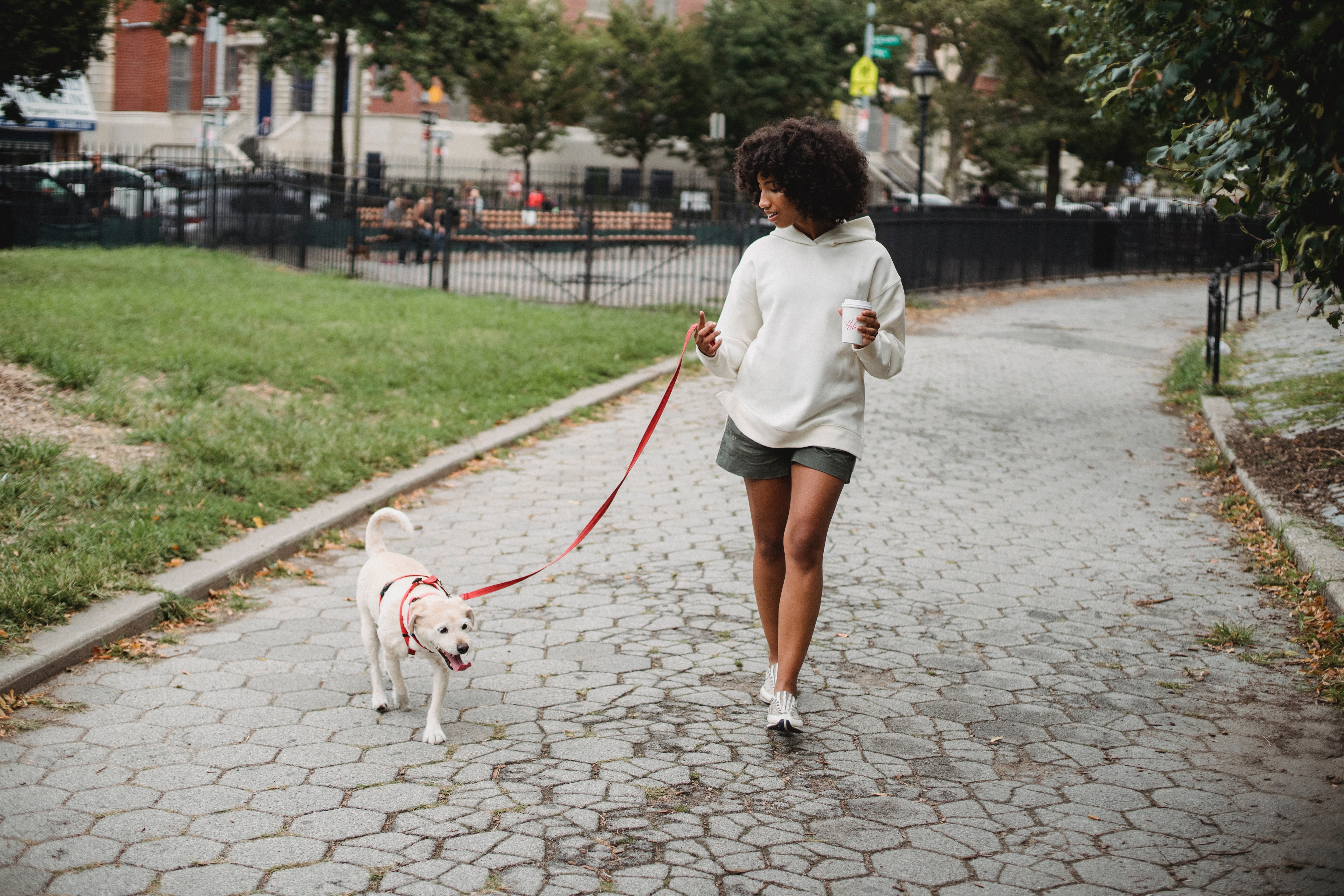 Faire une promenade