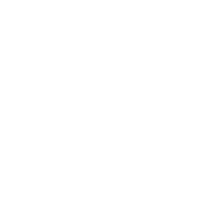 Logo no stearate de magnesium